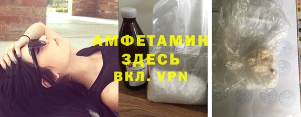 индика Михайловск