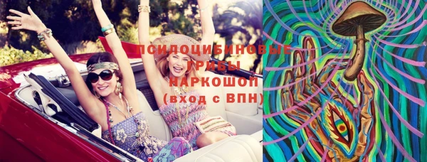 индика Михайловск
