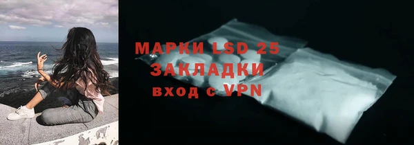 индика Михайловск
