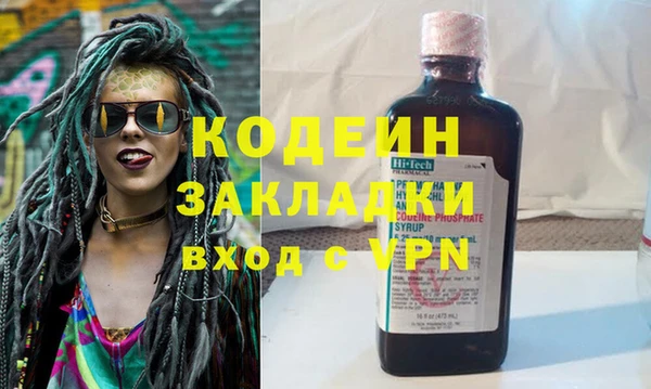 индика Михайловск
