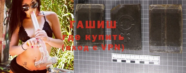 индика Михайловск