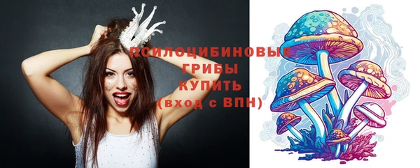 прущая мука Гусь-Хрустальный