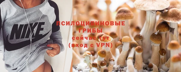 PSILOCYBIN Гусиноозёрск