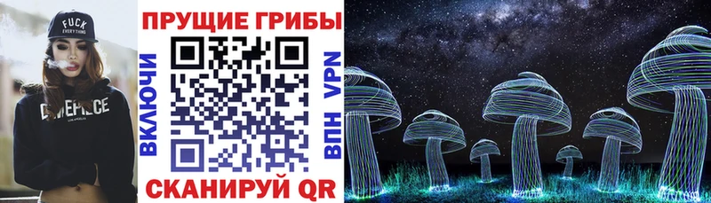 маркетплейс официальный сайт  Далматово  Псилоцибиновые грибы Psilocybe 